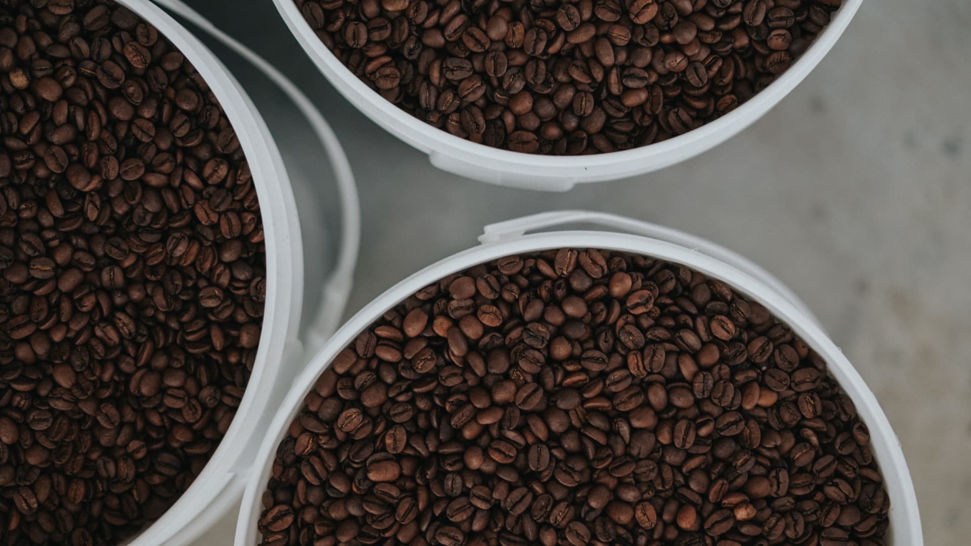 Café recién tostado en baldes para empaquetar